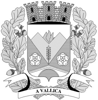 Commune de Vallica